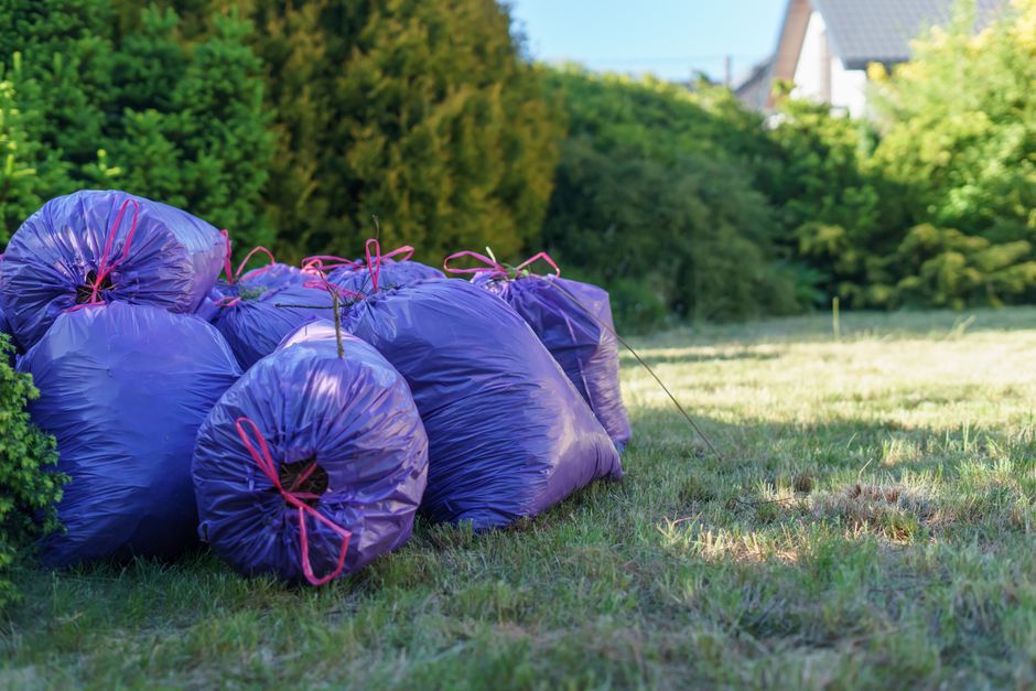 Garden waste sacks tied up and left out on a lawn for collection