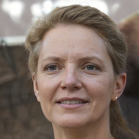 Elena Rostova, House Clearance Content